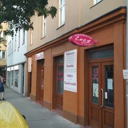 Jonashouse - Great Location Near Center- Personal Or Self Check-in * Pozsony